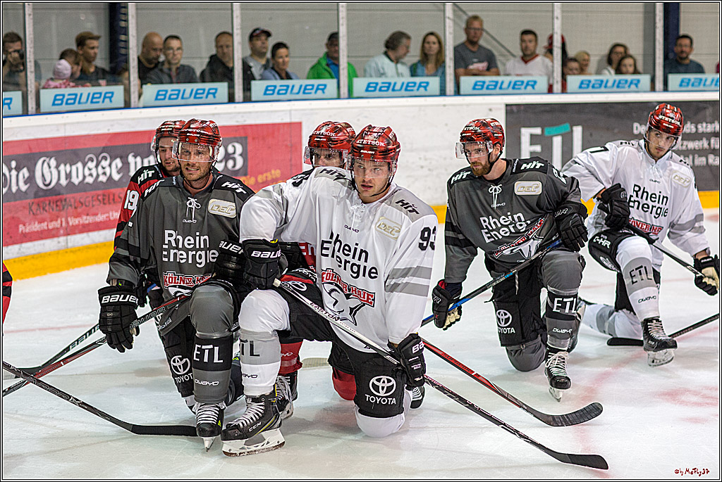 1. offizielles Training der Koelner Haie, 05.08.2018